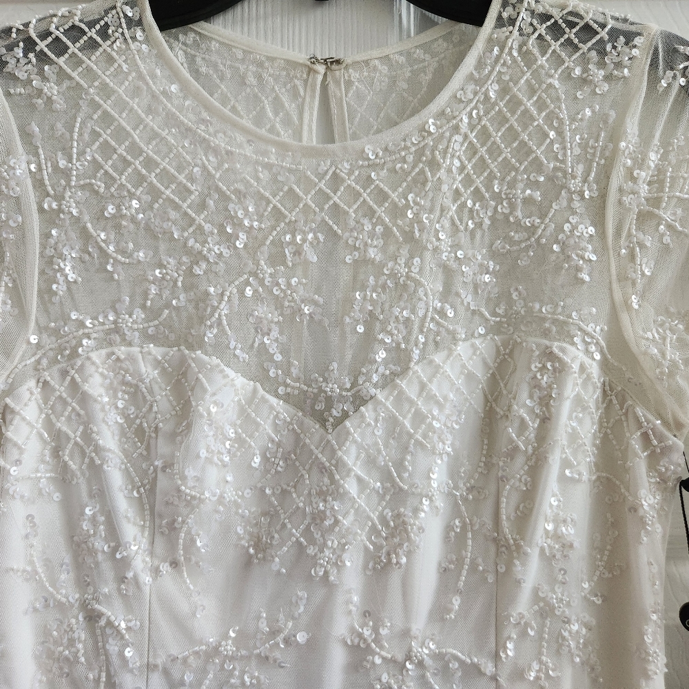 Adrianna Papell Ivory Long Sleeve Beaded Lace Motif Gown